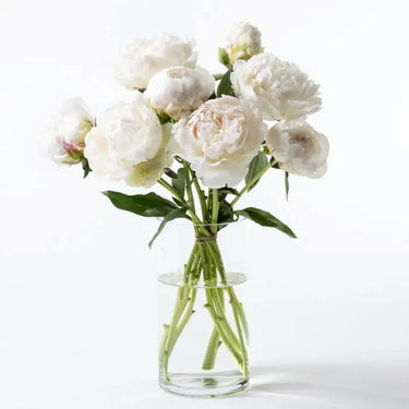 Freeze Elegance, Ten White Peonies, Glass Vase, Floral Arrangement